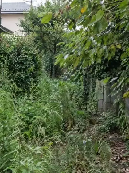 雑草が生い茂った建物脇の通路が、生垣と飛び石の庭に整っていく様子